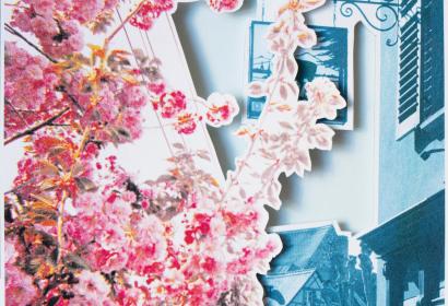 Superposition de dessins représentant un cerisier en fleurs devant une village monochrome bleu.