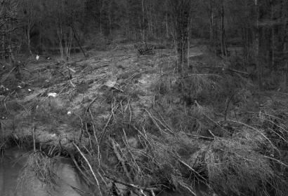 A quelques kilomètres de la ville de Houyet dans la vallée de La Lesse, des dizaines d’arbres sont tombés suite aux inondations de juillet 2021.