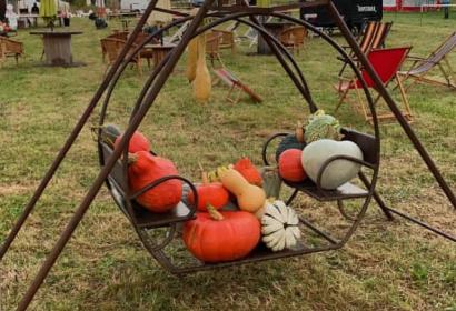 Cucurbits placed on a metal swing in the Bukolik Piknik meadow