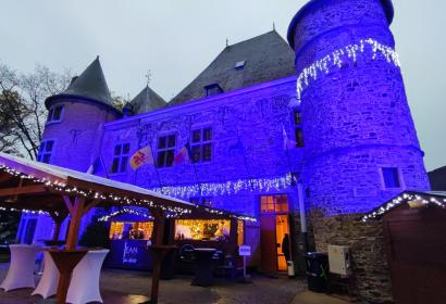 Façade de château éclairée par des lumières bleues