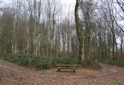 Arboretum - Bellefontaine - parcours didactique