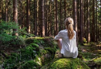 Meditierende Person im Wald
