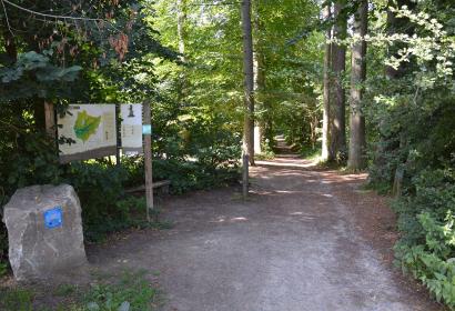 Bois de Lauzelle - Louvain-la-Neuve - Site classé Natura 2000 - 20 ha - patrimoine naturel - Ottignies-Louvain-la-Neuve - Brabant wallon