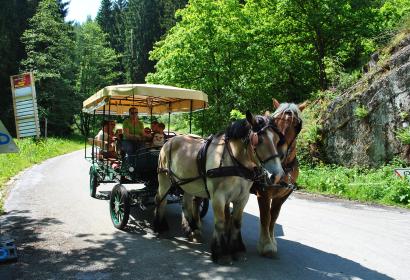 A family enjoys an Ardenne draft horse drawn carriage