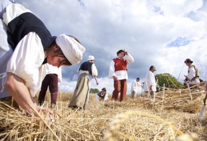 Villageois champs en plein travail de récolte dans les champs de La Hamaide - Fête de la Moisson en Belgique