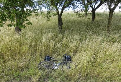 Vélo posé dans l'herbe en campagne
