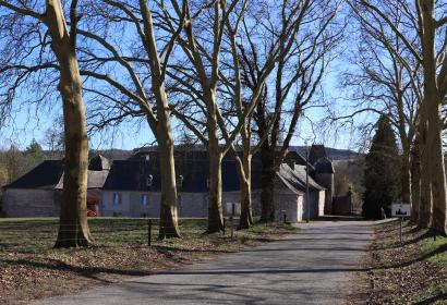 My - l'un des Plus Beaux Villages de Wallonie - drève des platanes