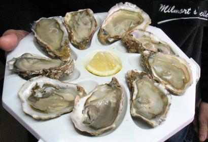 Boer met 9 oesters 'fines de claire' van Marennes-Oléron om te proeven
