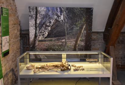Musée archéologique de la Haute-Meuse - Godinne - Expo permanente - Vue de la sépulture de l'Abri des Autours