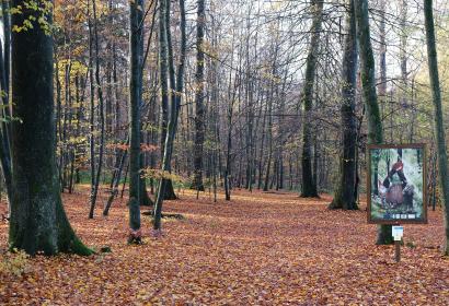 Petit Bois des Légendes ardennaises - Arboretum Bois Collignon