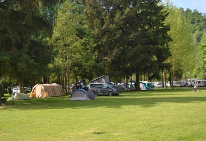 Camping - Ardennes - La Roche en Ardenne - Nature