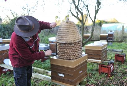 Le Rucher du Haut-Pays à Honnelle - apiculteur - ruches