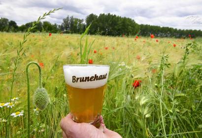 Brasserie - Brunehaut - Tournai - anciennes recettes - brassage 