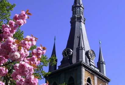 Vue en contre-plongée du haut de la Cathédrale Saint-Paul à Liège avec un arbre à fleurs 