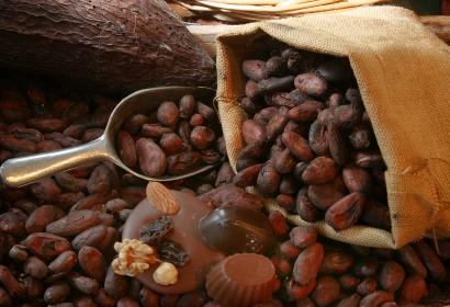 Sachet rempli de fèves de cacao