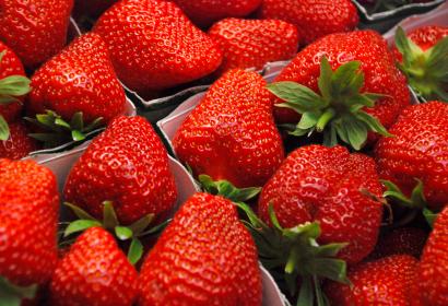 Raviers de fraises de Wépion