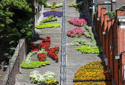 Admirez les milliers de fleurs disposées sur la montagne de Bueren à Liège - Wallonie insolite