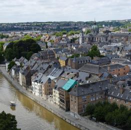 Point de vue sur la ville de Namur et son fleuve, la Meuse