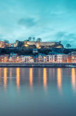 Citadelle - Namur - Hiver - bleu - glacé
